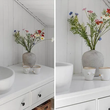 Vakantiehuis Tv1661-jerup-blabaervej-5 *