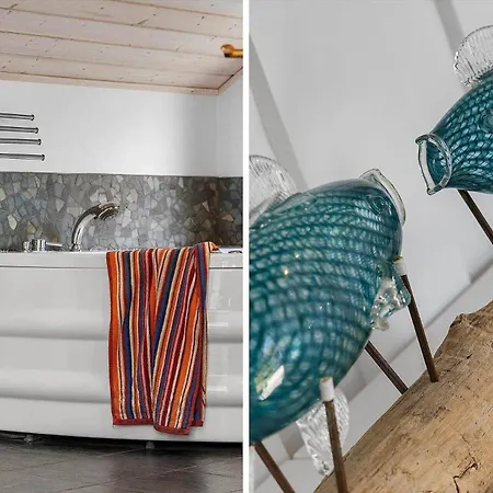 Vakantiehuis Tv1661-jerup-blabaervej-5 *